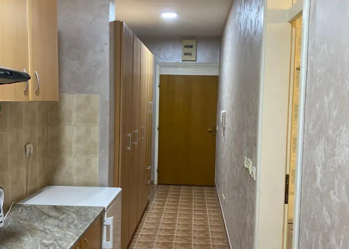 Play Obrenovac (Belgrade)